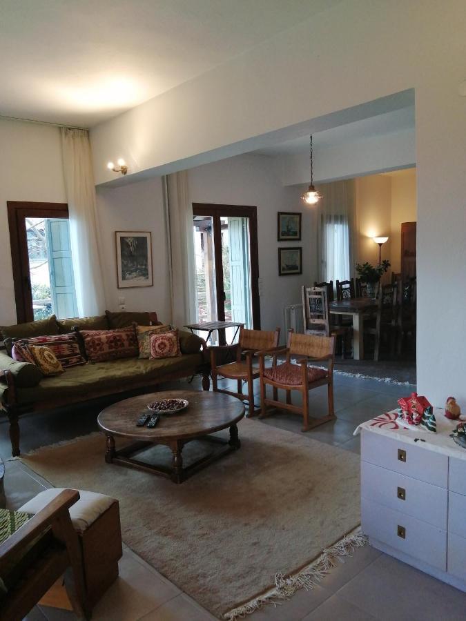 Delux house in Tsangarada Villa Tsagarada Bagian luar foto