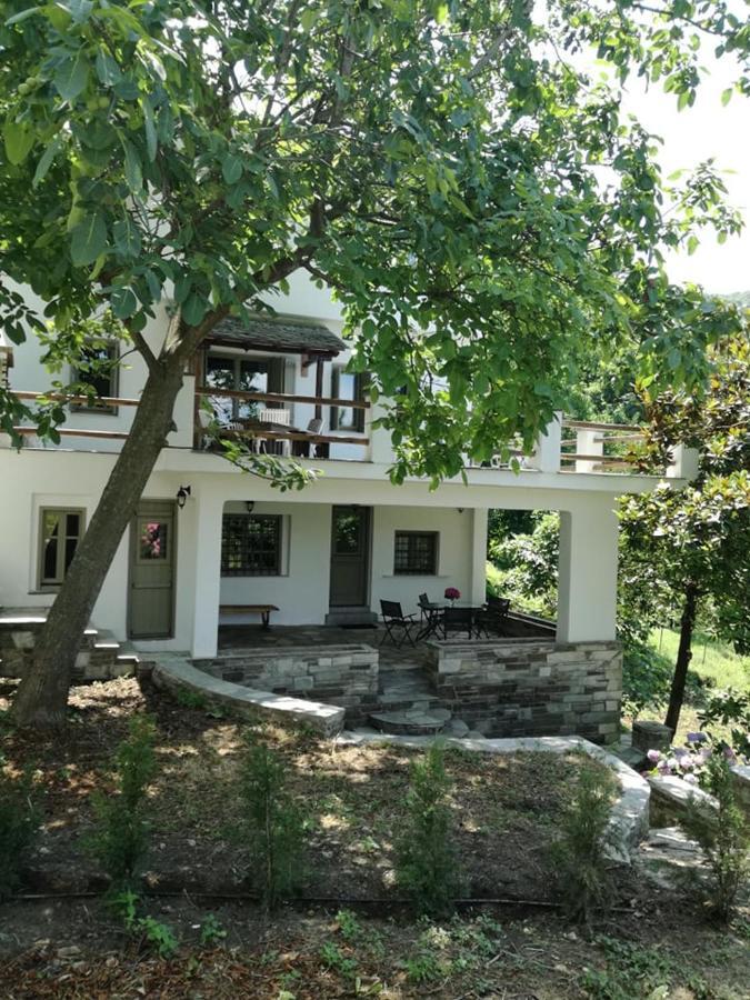 Delux house in Tsangarada Villa Tsagarada Bagian luar foto