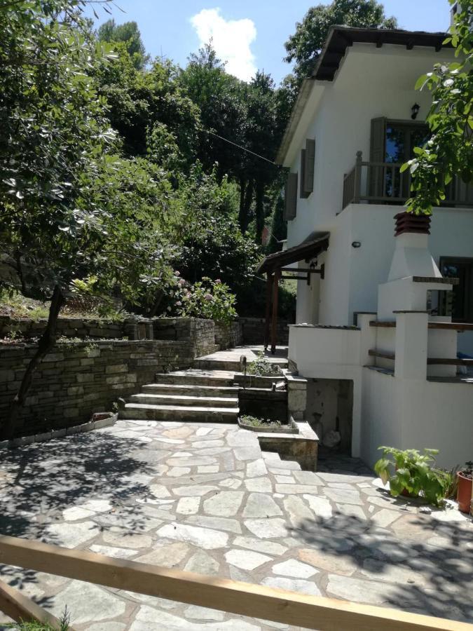 Delux house in Tsangarada Villa Tsagarada Bagian luar foto