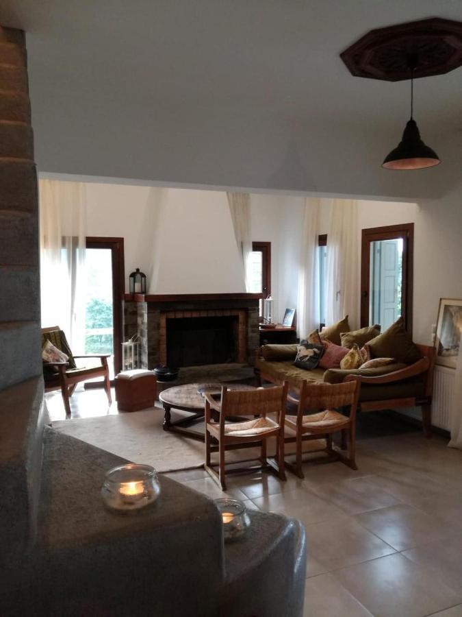 Delux house in Tsangarada Villa Tsagarada Bagian luar foto