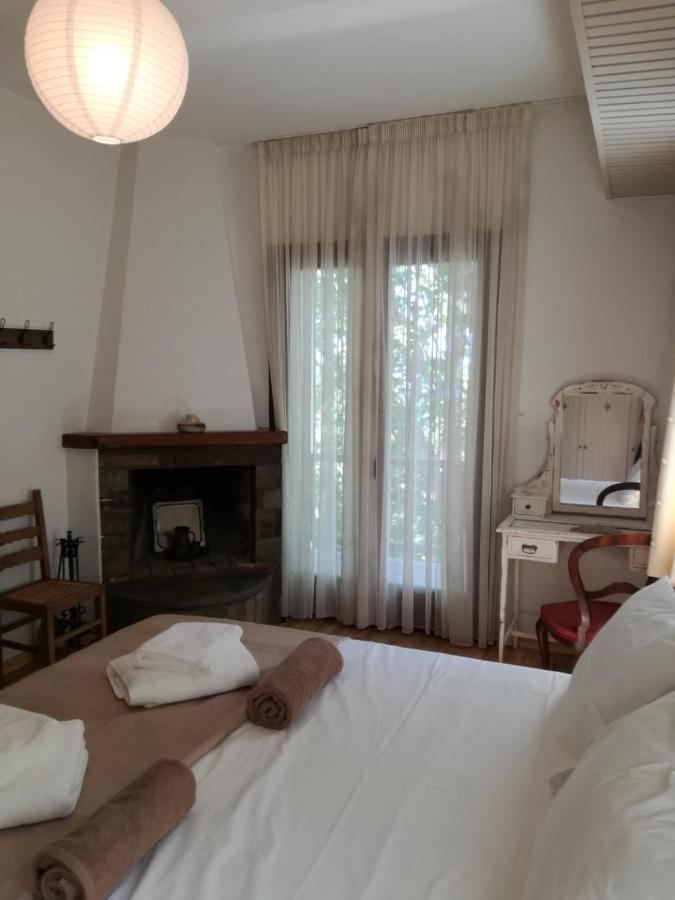Delux house in Tsangarada Villa Tsagarada Bagian luar foto