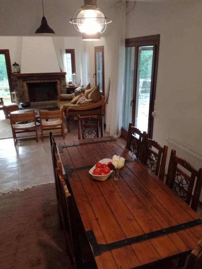 Delux house in Tsangarada Villa Tsagarada Bagian luar foto